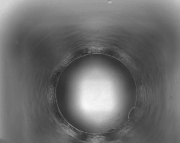 X0000062150463200512121312