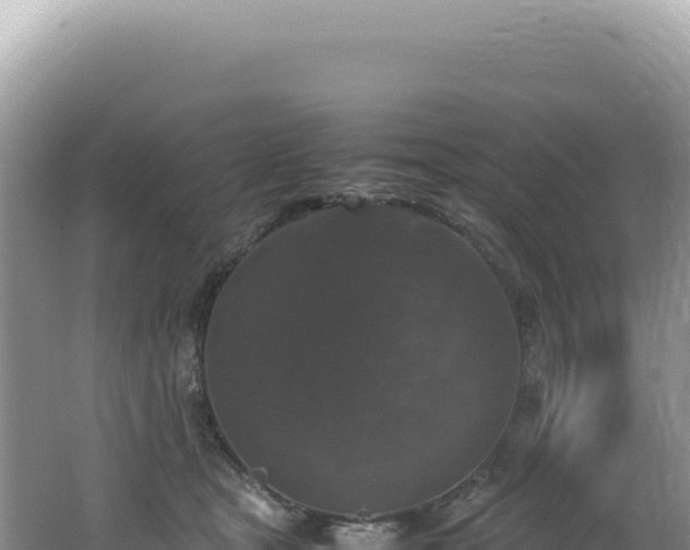 X0000062150465200512121312