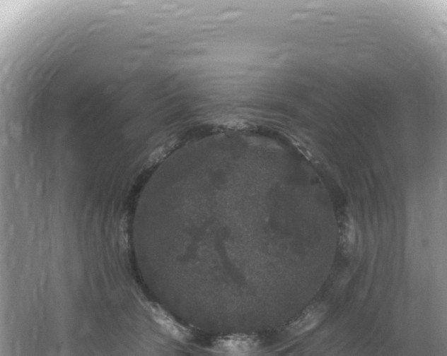 X0000062150466200512121312