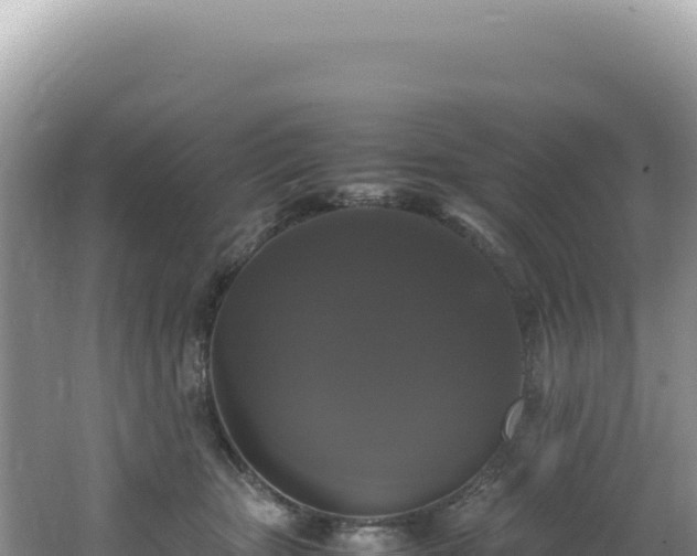 X0000062150467200512121312