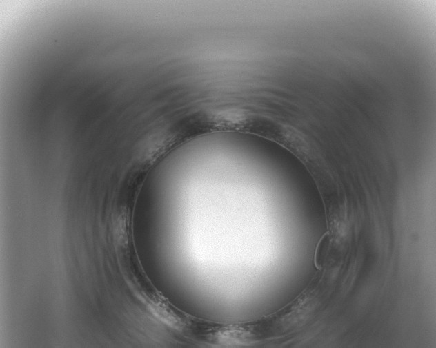 X0000062150468200512121312