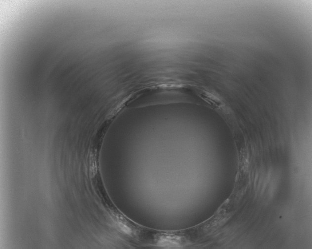 X0000062150471200512121312