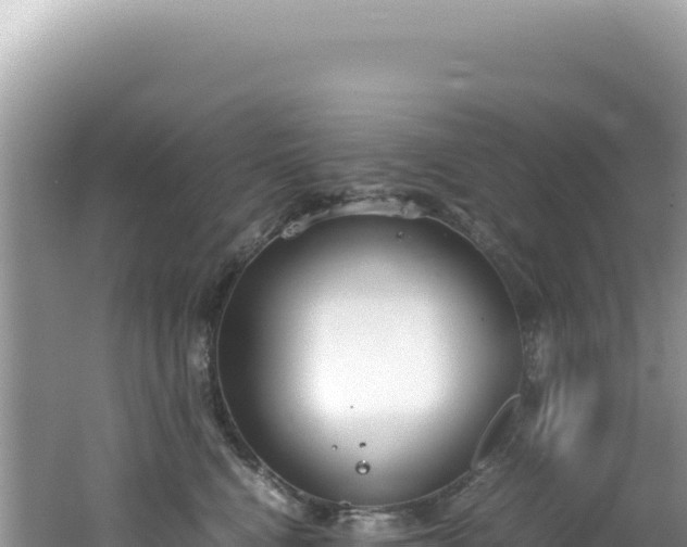 X0000062150472200512121312