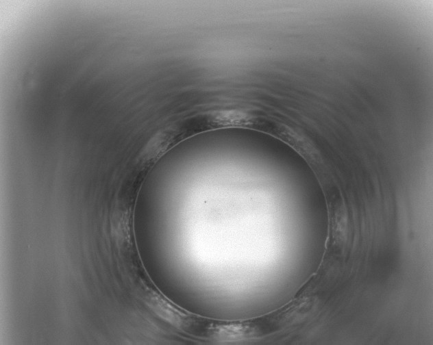 X0000062150473200512121312