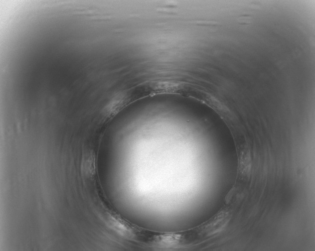 X0000062150474200512121312