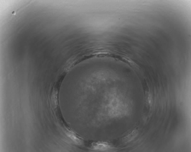 X0000062150475200512121312