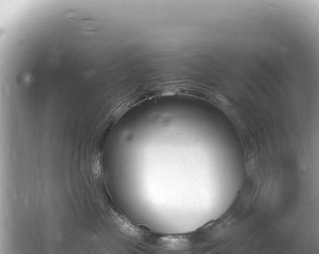 X0000062150477200512121312