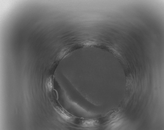 X0000062150479200512121312