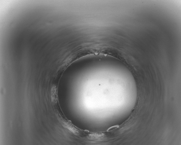 X0000062150480200512121312