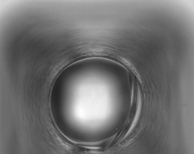 X0000062150481200512121312