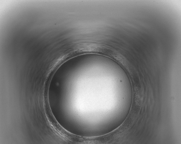 X0000062150482200512121312