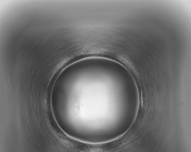 X0000062150483200512121312