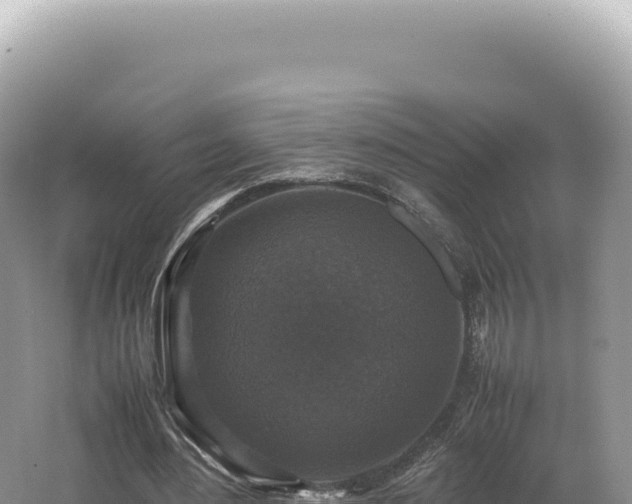 X0000062150484200512121312