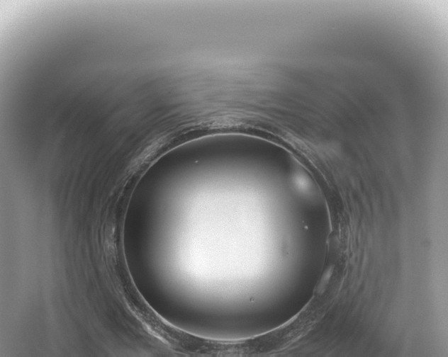 X0000062150485200512121312