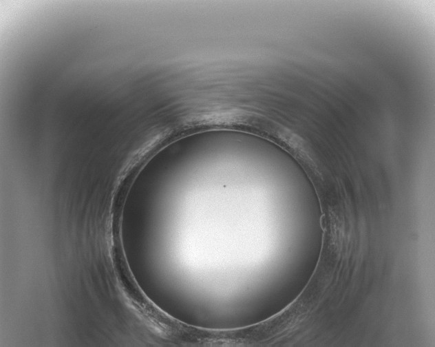 X0000062150486200512121312