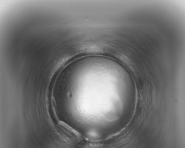 X0000062150487200512121311