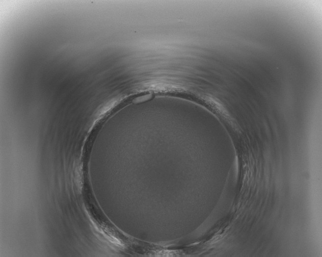 X0000062150488200512121311