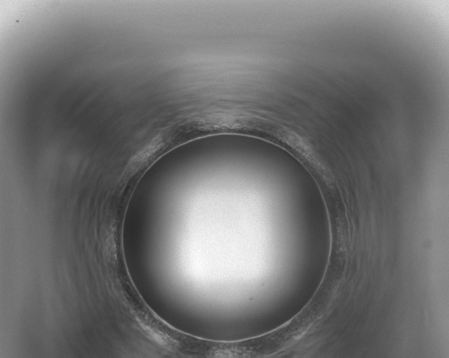 X0000062150489200512121311