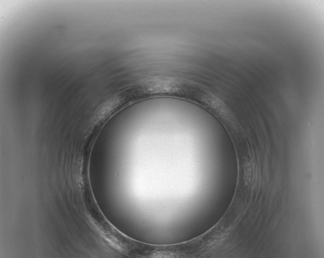 X0000062150490200512121311