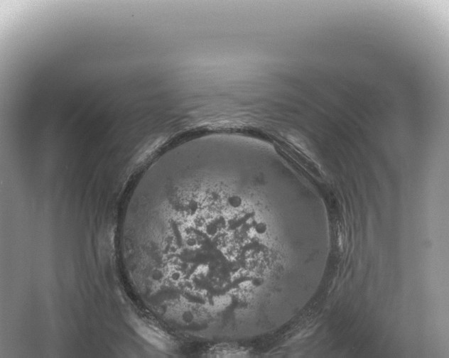 X0000062150491200512121311