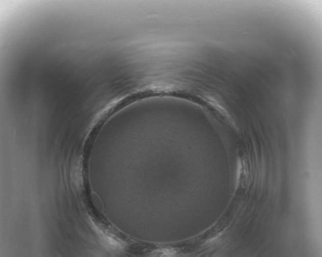 X0000062150492200512121311