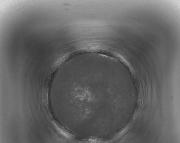 X0000062150493200512121311