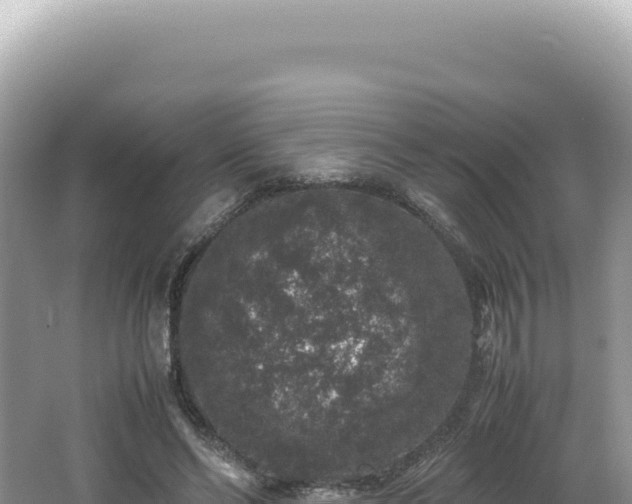 X0000062150494200512121311