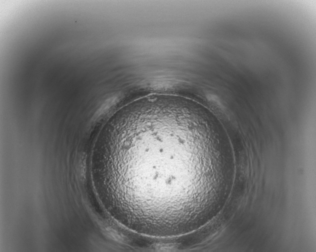 X0000062150495200512121311