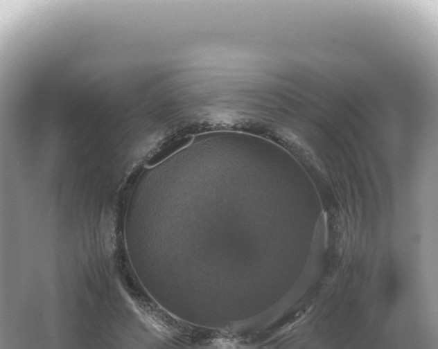 X0000062150496200512121311