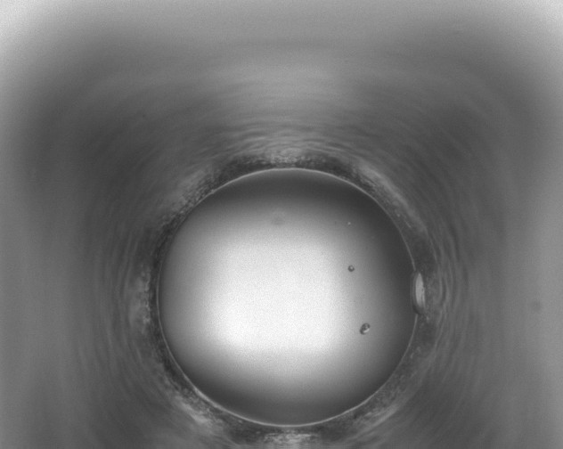 X0000062150497200512121311