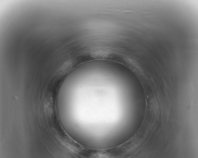 X0000062150498200512121311