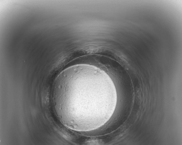 X0000062150499200512121311