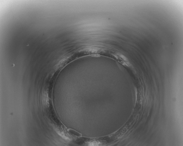 X0000062150500200512121311