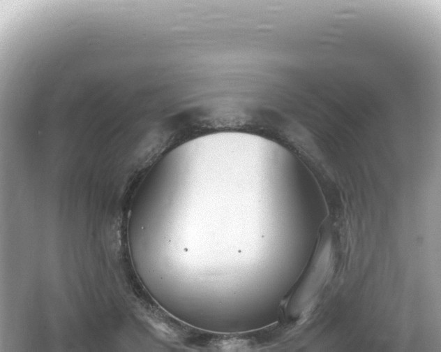 X0000062150501200512121311