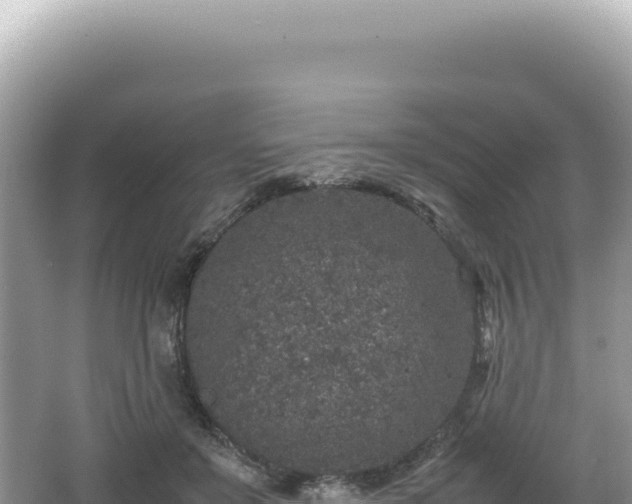 X0000062150503200512121311