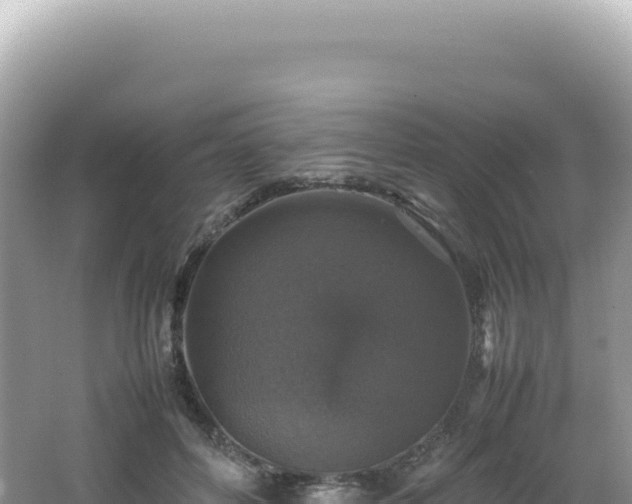 X0000062150504200512121311