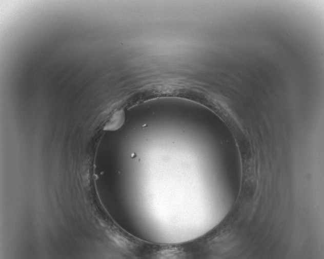 X0000062150505200512121311