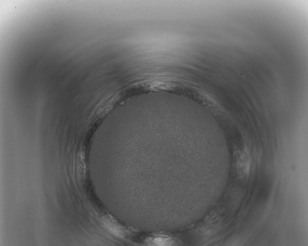 X0000062150506200512121311