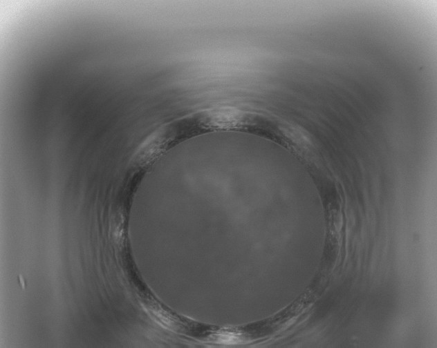 X0000062150507200512121311