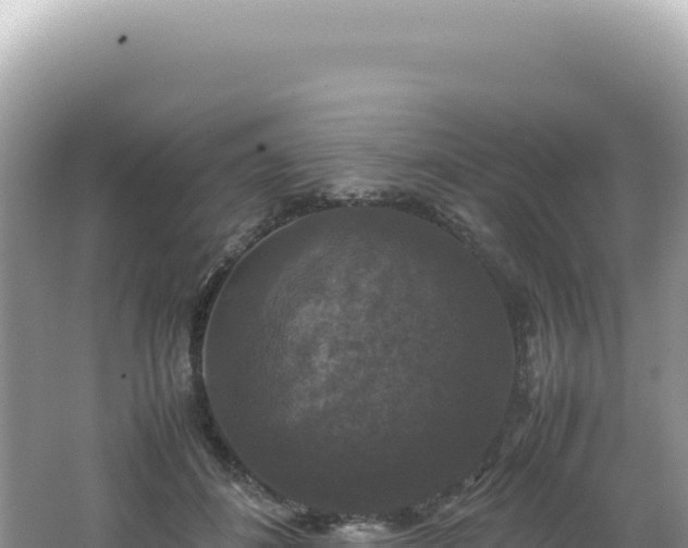 X0000062150508200512121311