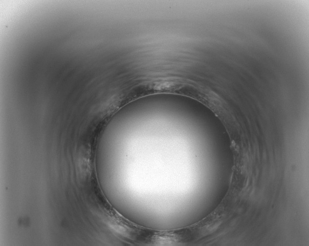 X0000062150510200512121311