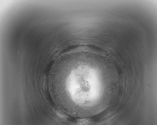 X0000062150511200512121311