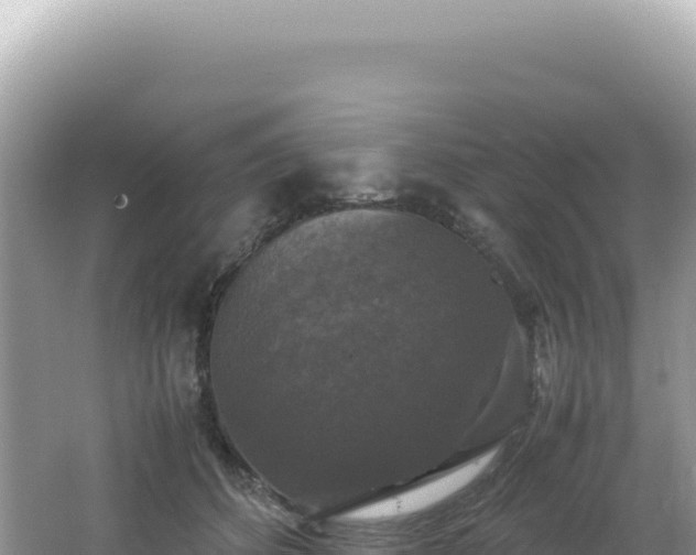 X0000062150512200512121311