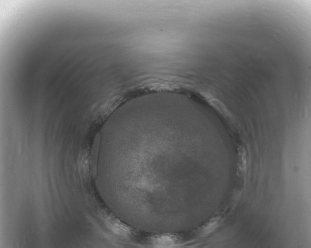 X0000062150513200512121311