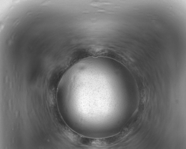 X0000062150515200512121311