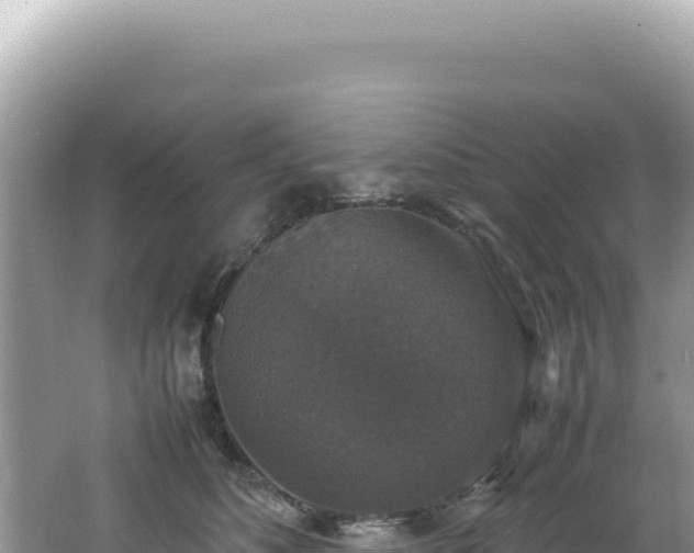 X0000062150516200512121311