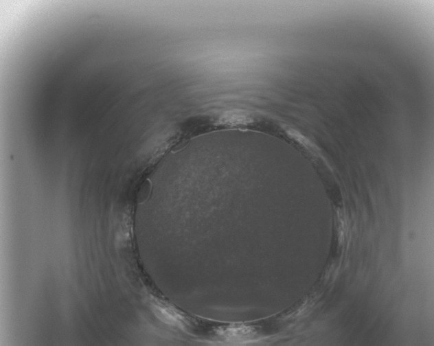 X0000062150517200512121311