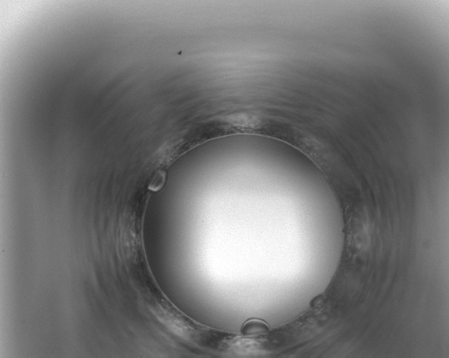 X0000062150518200512121311