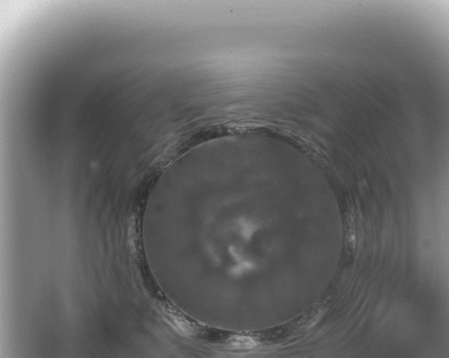 X0000062150519200512121311