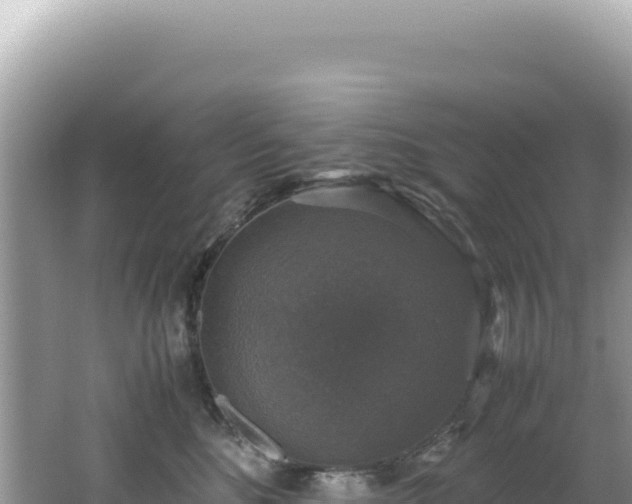 X0000062150520200512121311